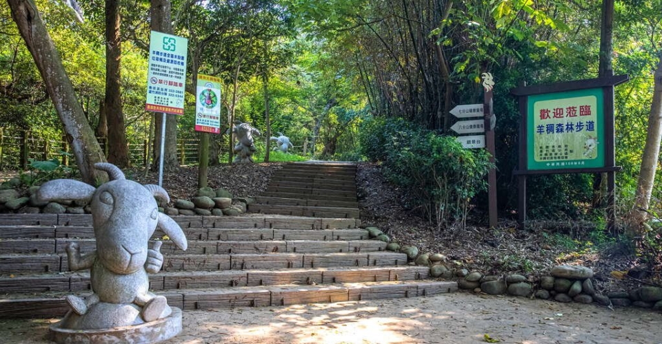 桃園景點│羊稠森林步道